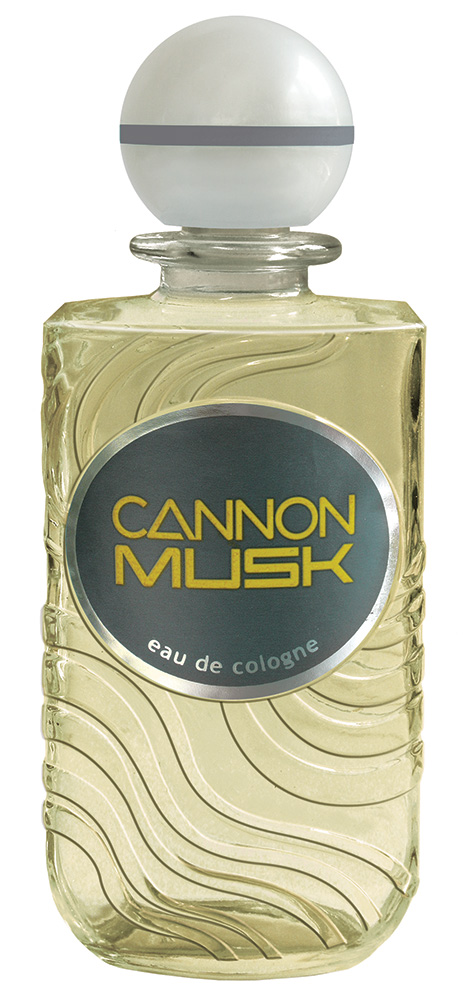Family Cannon Musk